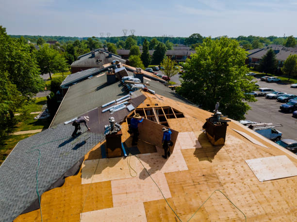 Best Roof Leak Repair  in Buena Vista, GA