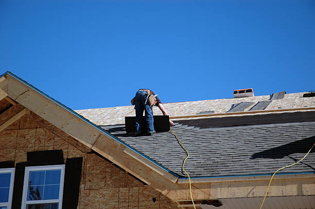 Roof Gutter Cleaning in Buena Vista, GA