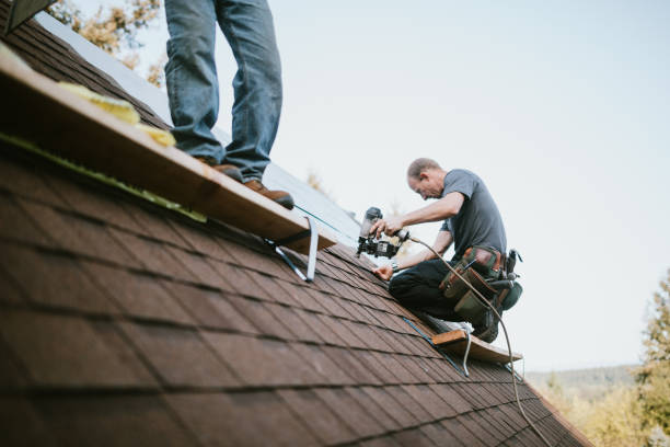 Best Best Roofing Contractors  in Buena Vista, GA