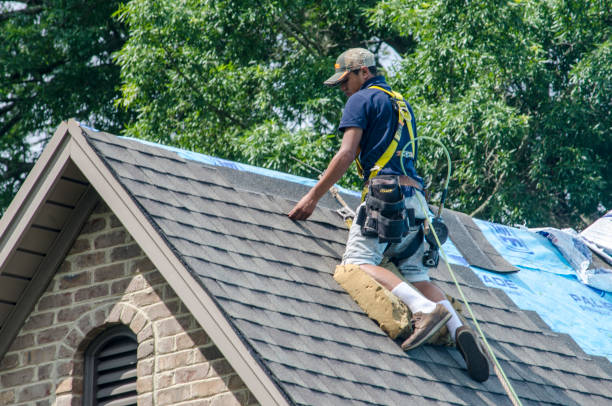 Trusted Buena Vista, GA Roofing Contractor Experts